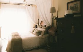 Bright Apartment In The City Center